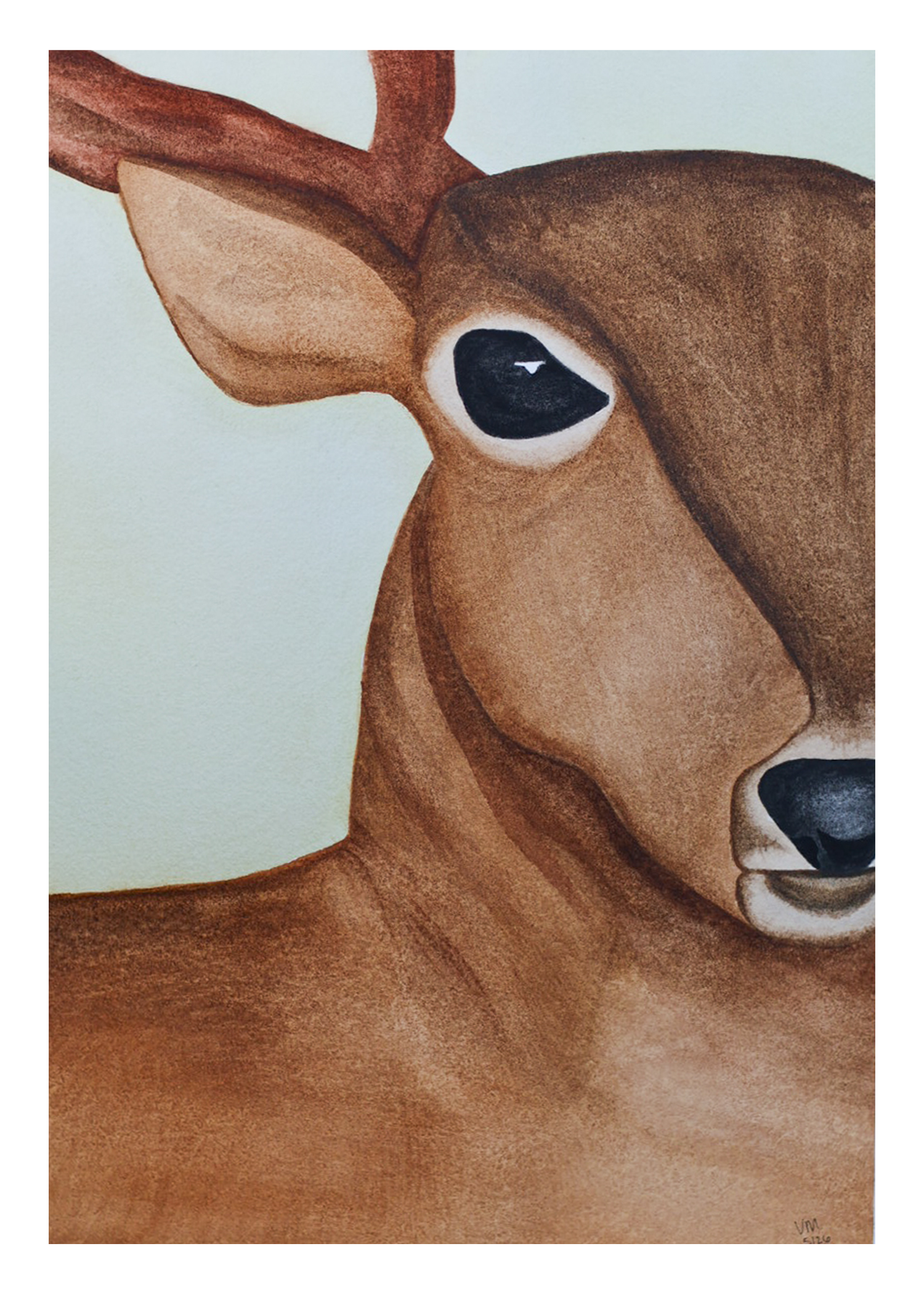 Buck 5x7