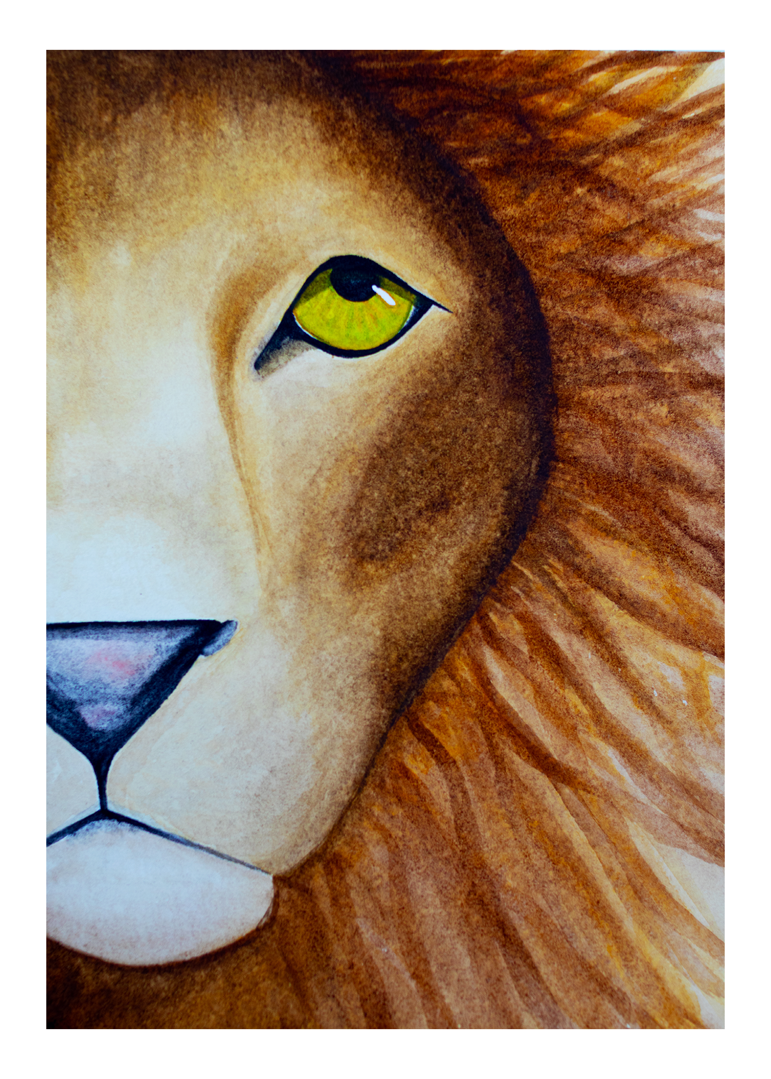 Curious Lion 5x7
