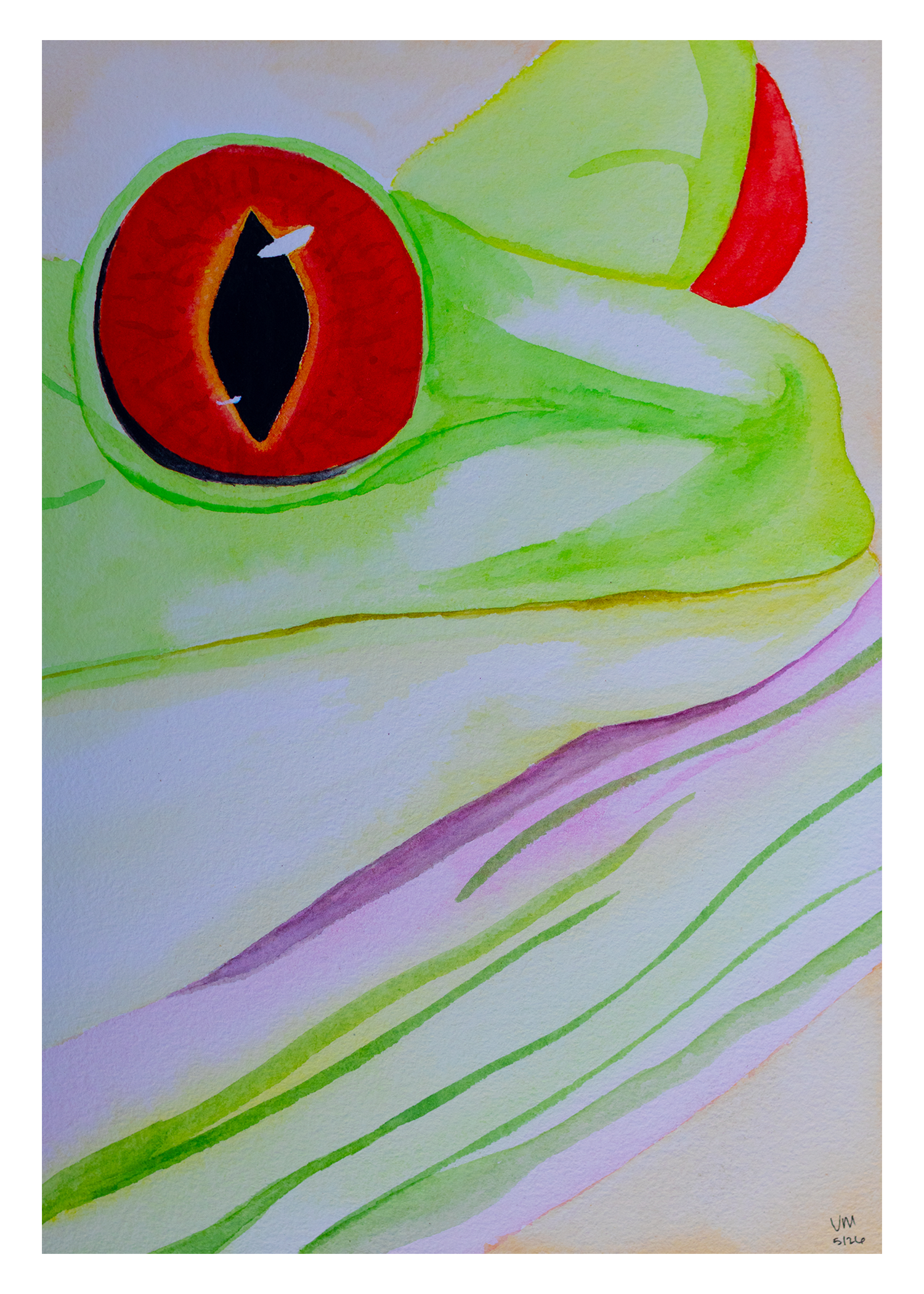 Frog 5x7