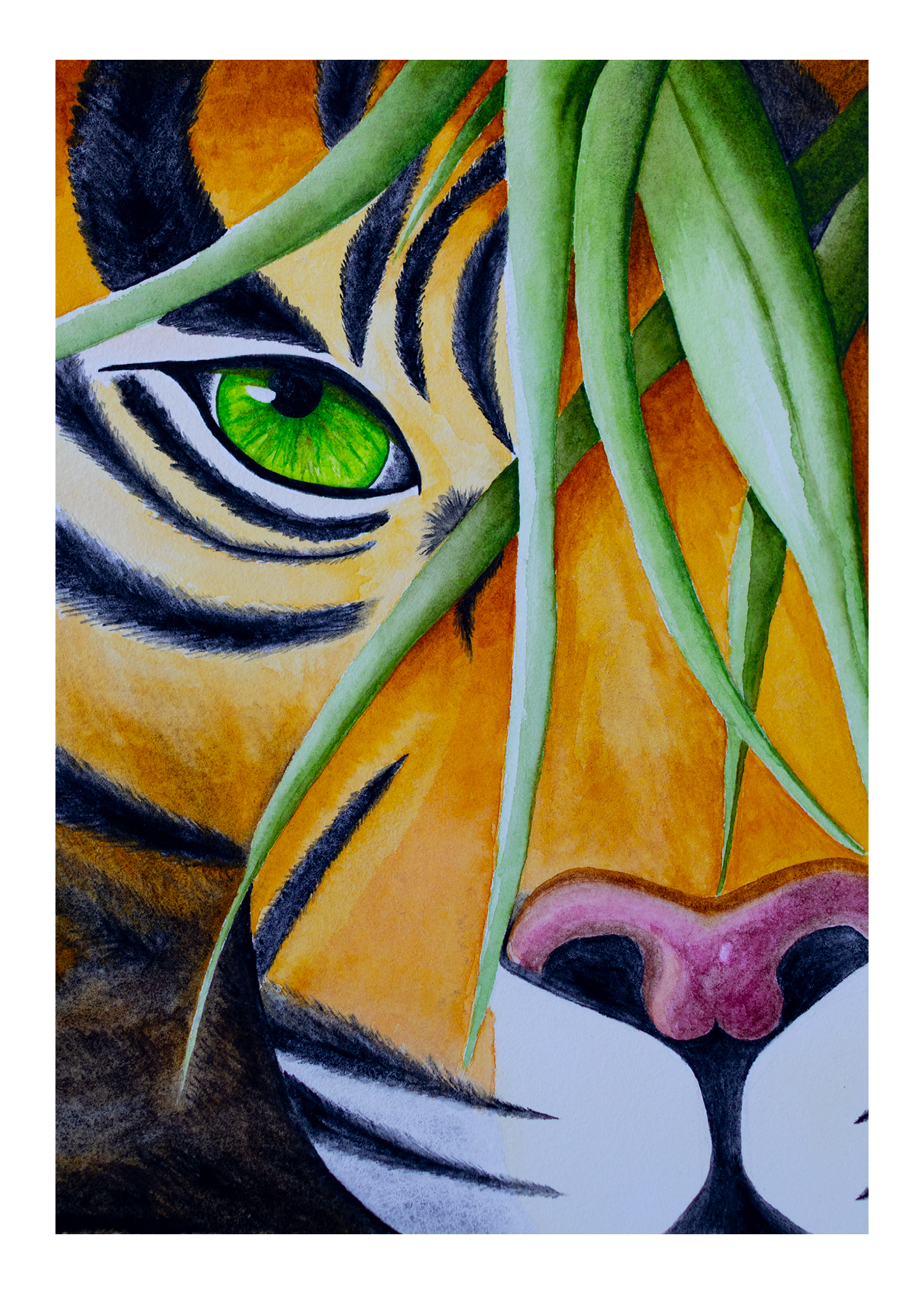 Unseen Tiger 5x7